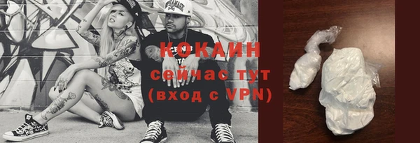 твердый Няндома