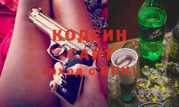 сатива Нягань