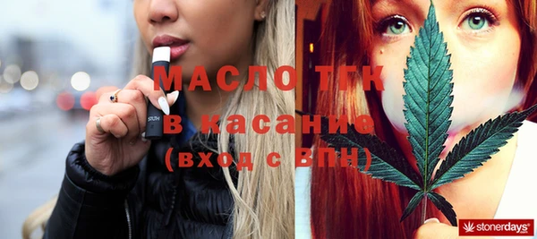 твердый Няндома