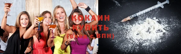 твердый Няндома