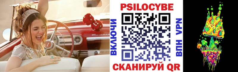 kraken вход  Кириши  Галлюциногенные грибы Magic Shrooms 